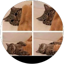 Esmee profielfoto